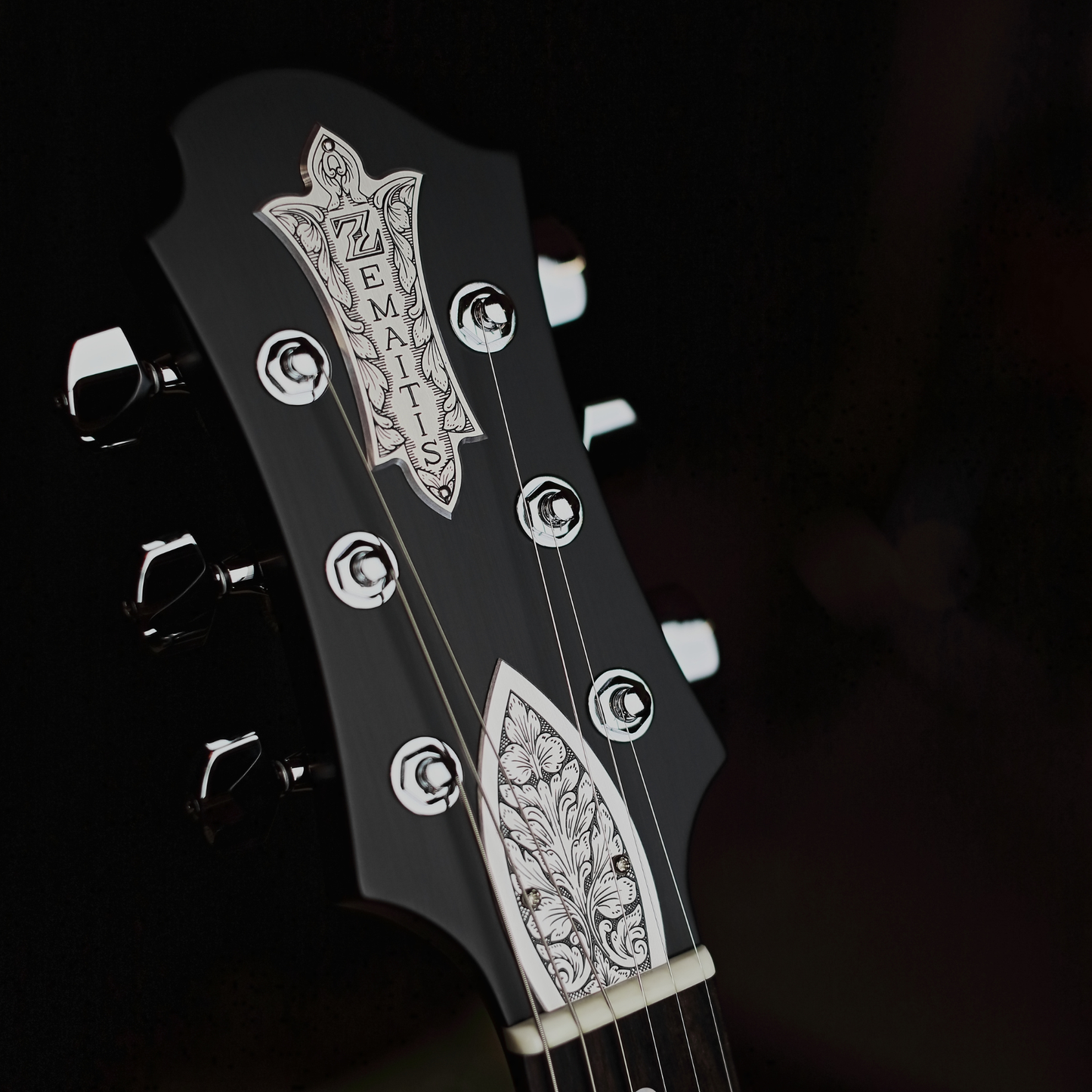 Zemaitis Guitars DFG24 3H, Black