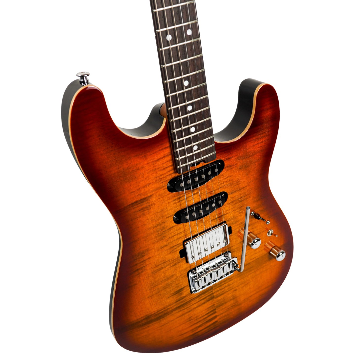 POLARIS CUSTOM HSS - TERRA BURST #00449